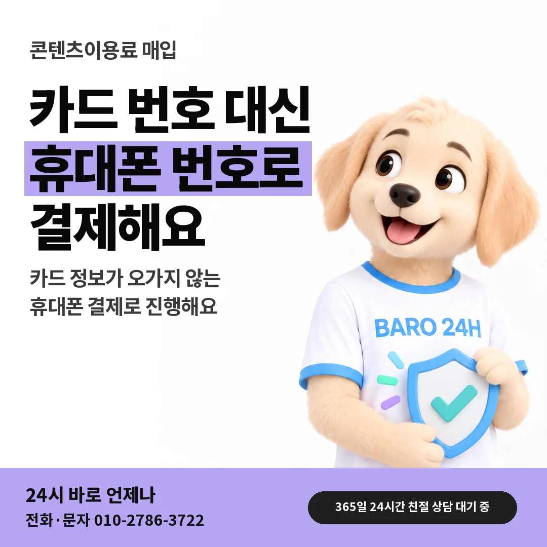 BARO 24H 티셔츠를 입은 3D 동물 캐릭터 옆에 「카드 번호 없는 결제」 제목을 얹은 안내 카드